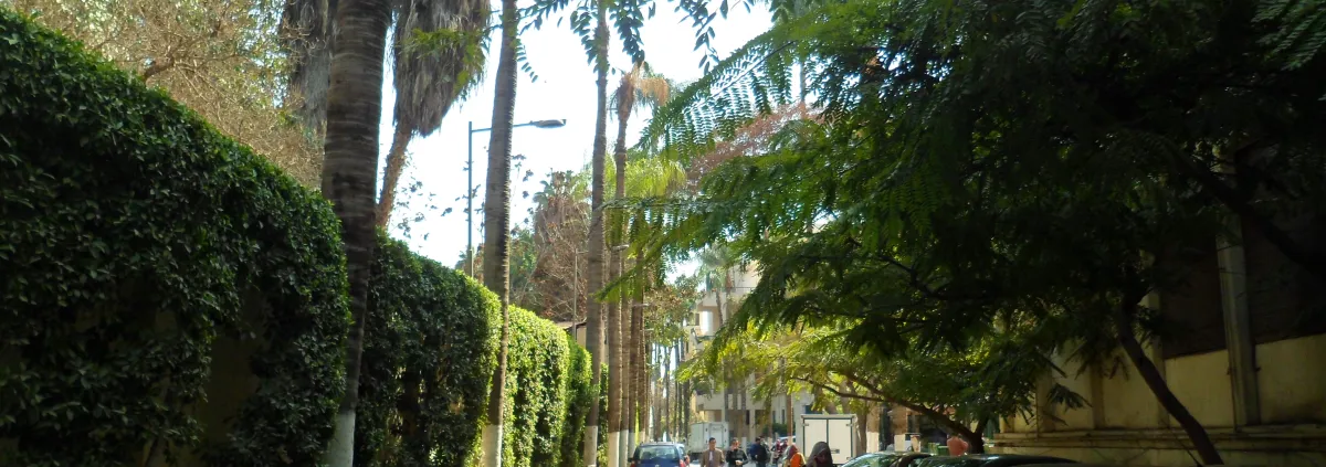 Cairo University campus — illustrative sample event